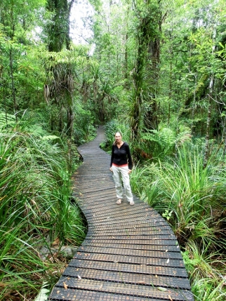 whangarei (58)
